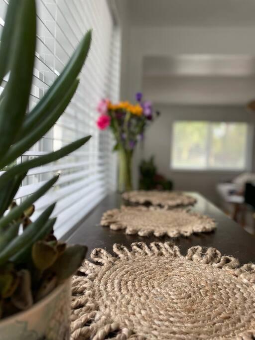 Jungle Cottage With Luxury Pool, Hot Tub And More! Lake Worth Beach Esterno foto